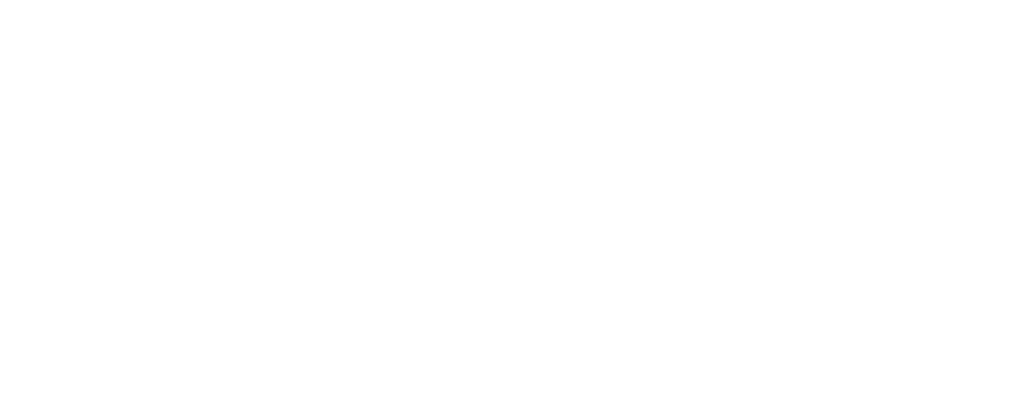 Rotary — People of Action
